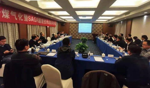 高灰熔點(diǎn)劣質(zhì)煤高效氣化關(guān)鍵技術(shù)開發(fā)及應(yīng)用成果通過評審